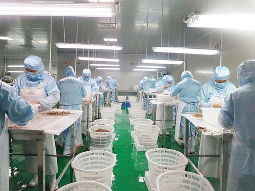 毫無人性 食品加工廠員工染上冠狀病毒,仍被強制要求上班